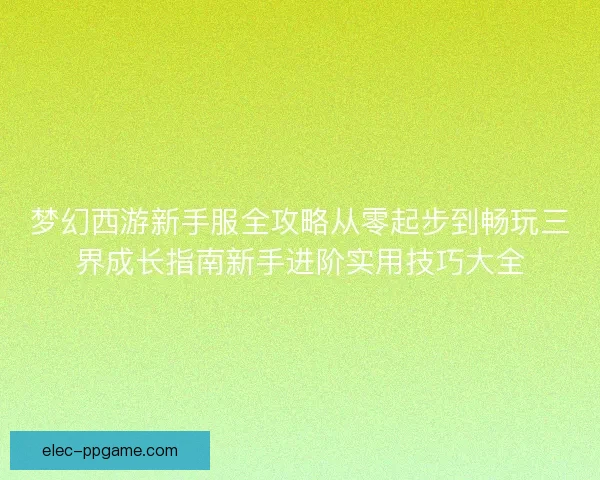 梦幻西游新手服全攻略从零起步到畅玩三界成长指南新手进阶实用技巧大全