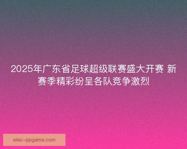 2025年广东省足球超级联赛盛大开赛 新赛季精彩纷呈各队竞争激烈